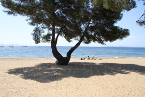 seaside villa with pool in la Londe les Maures