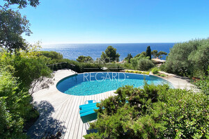 Property with sea view in Carqueiranne