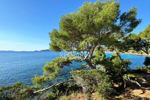 waterfront property in Le Lavandou