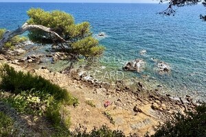 Property with sea view in Saint-Mandrier