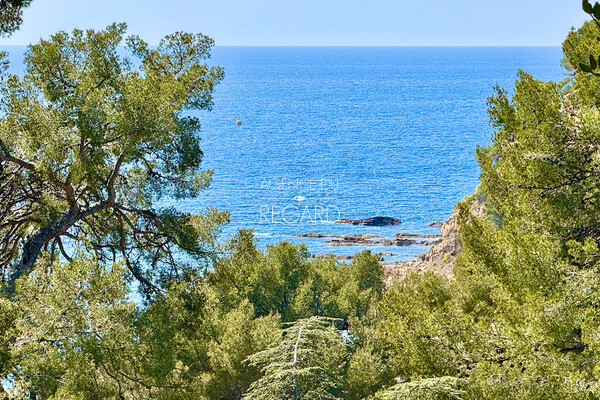 Property with sea view in Saint Mandrier, beach by walk...