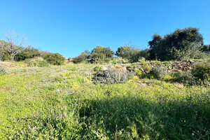 property with sea view in Le Lavandou