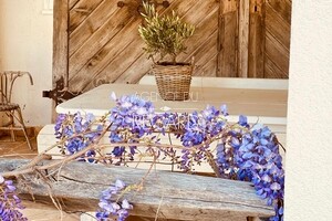 property in La Londe