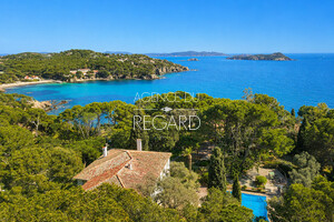 property with sea view in Giens