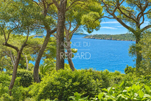 property with sea view in Giens