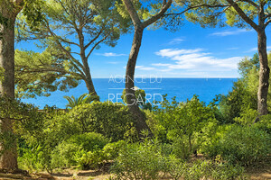 property with sea view in Giens