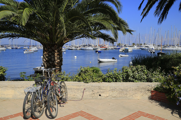 Apartment in Porquerolles